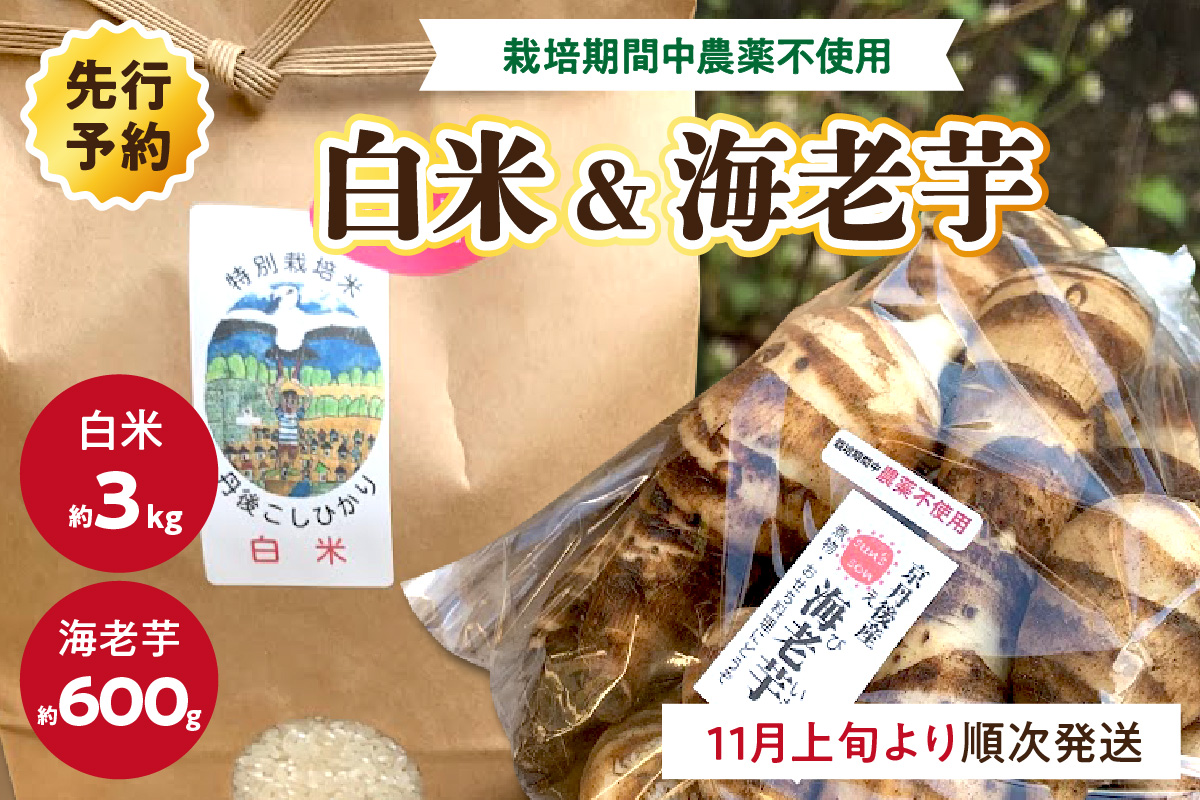 【先行予約】京都伝統野菜　海老芋（栽培期間中農薬・化学肥料不使用）＆丹後米こしひかり（特別栽培米）　KU00013