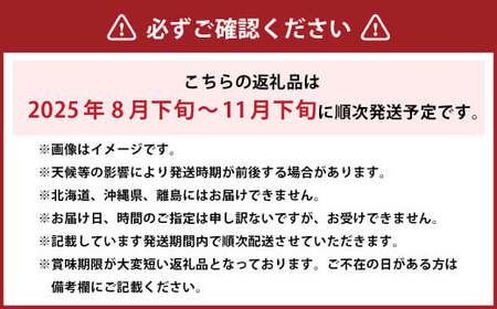 ご家庭用 シャインマスカット 晴王 3～6房 計約2kg 【2025年8月下旬～11月下旬迄発送】 ／ マスカット 葡萄 ぶどう 果物 果実 フルーツ 種なし 皮ごと 大粒 家庭用 岡山県 美咲町 冷