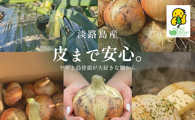 
                  淡路島産「皮まで安心。」玉ねぎ5kg　兵庫県 洲本市 淡路島[№5395-0528]
                