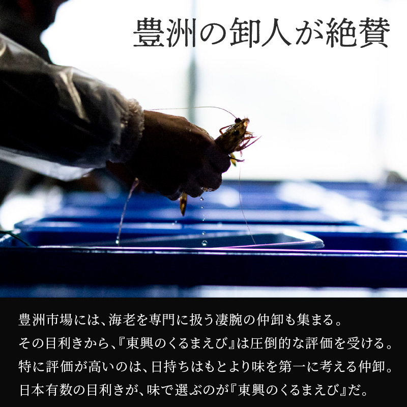 【先行予約】【宅配BOX不可】東興のくるまえび600g入【1月～2月上旬発送】( くるまえび 東興のくるまえび 車海老 海老 エビ )【C2-023-01】