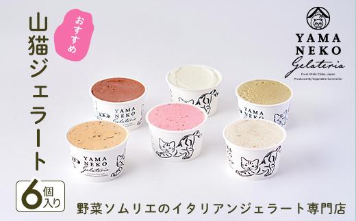 W01201 野菜ソムリエのイタリアンジェラート専門店＜山猫ジェラート＞おすすめ６個セット