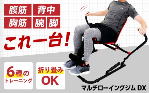 ベンチプレス マルチローイングジムDX/EXG244R[AOAB063] ベンチ 台 可変式ベンチ フラットベンチ トレーニングベンチ ダンベル バーベル 筋トレ トレーニング フリーウエイト マルチジム 筋肉 大胸筋 背筋 腹筋 コンパクト 省スペース 角度調整 組立簡単 健康 運動 美容 ダイエット 減量 家庭用 ホームジム 自宅トレーニング 初心者 人気 おすすめ ギフト アルインコ