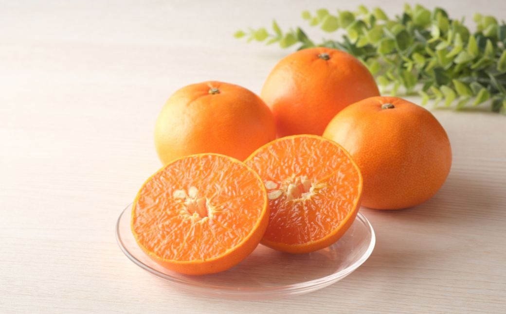 【先行予約】【数量限定】＼農園直送／愛媛県産せとか3kg×1箱（2026年2月下旬より順次発送） IKTV007
