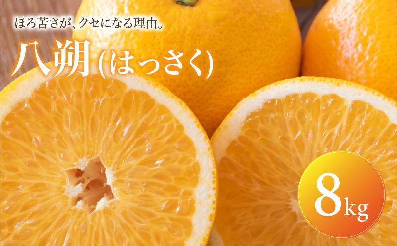 
                  八朔 家庭用 8kg 【2027年2月上旬頃から順次発送】 | はっさく みかん ハッサク ミカン mikan hassaku 蜜柑 訳ありフルーツ 柑橘 果物 おすすめ お勧め お取り寄せ ギフト 愛媛県 松山市
                