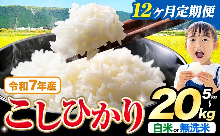 
            【12ヶ月定期便】令和7年産  無洗米 も選べる こしひかり 5kg 10kg  20kg 定期便 も選べる《お申込みの翌月出荷》熊本県産 ふるさと納税 無洗米 白米 精米 ひの 米 こめ ふるさとのうぜい コシヒカリ コメ お米 おこめ
          