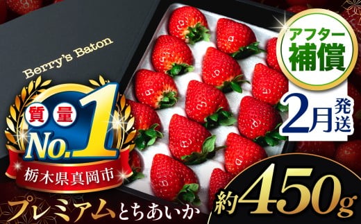 【先行予約】【2月発送発送】とちあいか贈答用 黒箱450g ｜果物 苺 イチゴ 人気 ギフトBOX 栃木県 真岡市