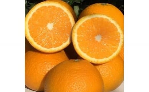 
            山本農園のスイートスプリング 8.5kg 【2026年1月下旬～3月下旬発送予定】 NC7x1
          