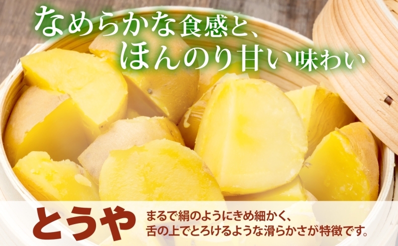 北海道 洞爺湖町産 新じゃがいも とうや 約10kg  Mサイズ以上混載 北海道産 新じゃが じゃがいも いも ジャガイモ 馬鈴薯 黄爵 芋 旬 野菜 農作物 送料無料 産地直送 常温 洞爺湖町