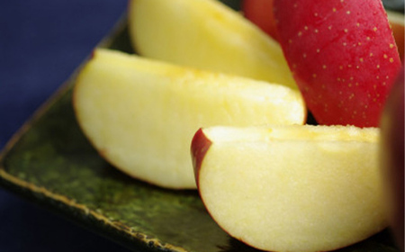 《先行予約 2024年度発送》山形ふじりんご 約2.5kg 約7玉～約9玉 FSY-1230