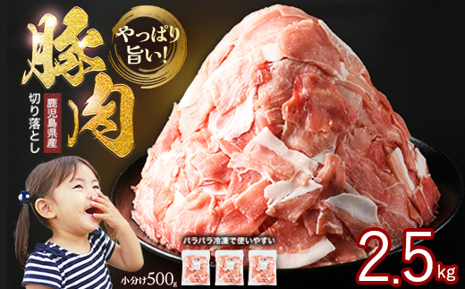 《訳あり》鹿児島県産 豚肉 切り落とし (計2.5kg・500g×5P)  小分け 冷凍 国産豚肉 鹿児島 ポーク 肉 個包装 人気 ランキング【スターゼン】starzen-1362