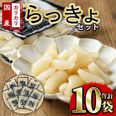 ふるさと納税 春日市 樽味屋のカリカリらっきょセット (国産)