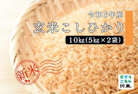 150253【令和6年産】しまね川本玄米こしひかり10kg(5kg×2)