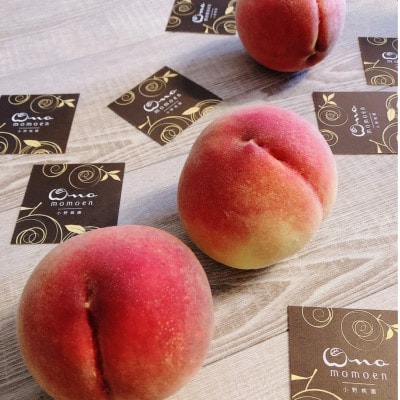 【見逃し厳禁】今逃せば1年待ち4連続TV出演『樹上完熟ブランド桃』2025年7月下旬より発送【配送不可地域：離島・北海道・沖縄県・中国・四国・九州】