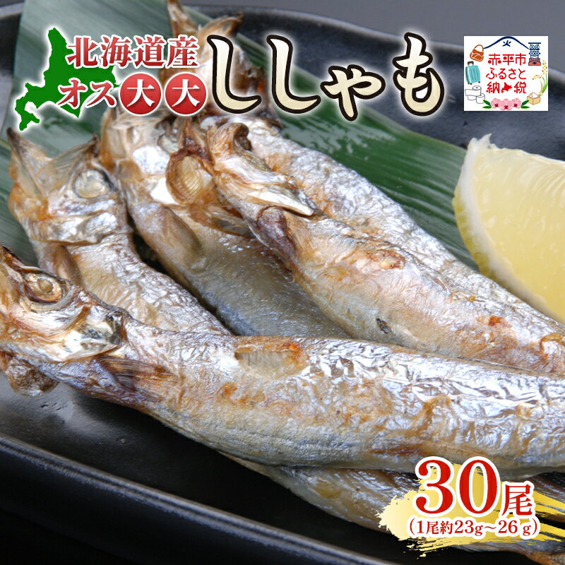 【ふるさと納税】北海道産ししゃもオス大大30尾 北海道 稀少 魚 シシャモ オス おつまみ 魚貝類 干物 本物 人気 希少 塩 味付け 脂のり 旨み 美味しい 大きい