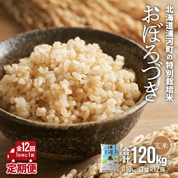 【ふるさと納税】北海道浦河町の特別栽培米「おぼろづき」玄米(10kg×1袋)定期便(全12回)[37-1229] 北海道 浦河 ふるさと納税 特別栽培米 おぼろづき 米 玄米 定期便 全12回 送料無料