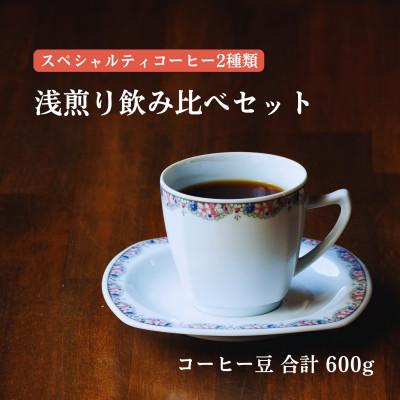 ふるさと納税 豊川市 スペシャルティコーヒー 浅煎り コーヒー豆2種類セット　合計600g(豆のまま)