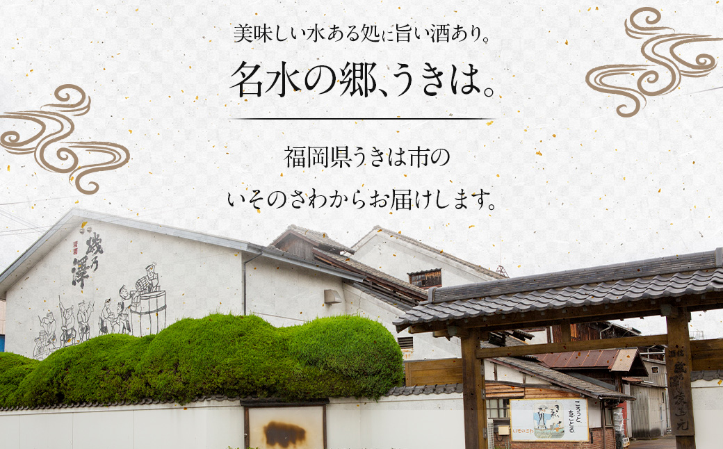 いそのさわ “駿” ?み比べセット (純米酒・特別純米酒・純米吟醸 各720ml) 3種類 日本酒 お酒 酒 アルコール セット 詰め合わせ 贈答用 プレゼント 贈り物 福岡県 うきは市