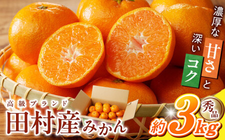 G7339_【2026年11月下旬頃より発送】高級ブランド 秀品 紀州有田田村産みかん 3kg 濃厚 糖度 酸味 バランス 甘さ コク 国産 みかん 有田みかん フルーツ 果物 果実 デザート おやつ お取り寄せ お取り寄せフルーツ 和歌山県 湯浅町 送料無料