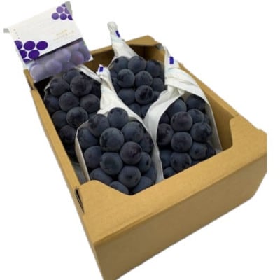 岡山県産　ニューピオーネ4房(1房480g以上)【配送不可地域：離島】