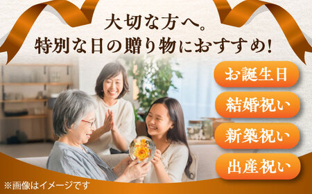 プリザーブドフラワー　ガラスドーム (オレンジ) / 花 プレゼント 贈答用 ガラス 母の日 父の日 入学式 卒業式 菊陽町 熊本県【株式会社 美向】[BHDC001]