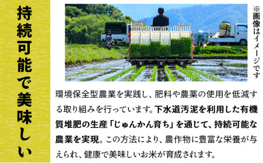 令和7年産 上志文産メープル米「ゆめぴりか」5kg
