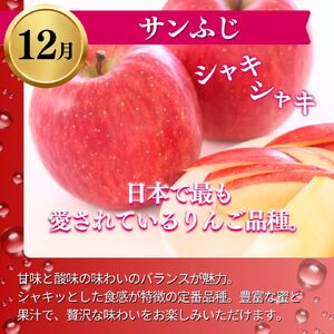 りんご 志賀高原 定期便 3ヶ月 りんご