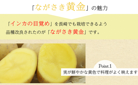 BH048 じゃがいも 希少品種 ながさき黄金 S〜2Lサイズ混合 約5kg [ 贅沢宝庫 長崎県 島原市 ]