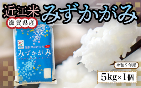 近江米　みずかがみ　白米５㎏ 令和6年産 BD07	