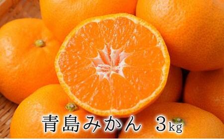 【2025年1月中旬より順次発送】甘さと酸味がマッチ　青島みかん3kg 5,000円