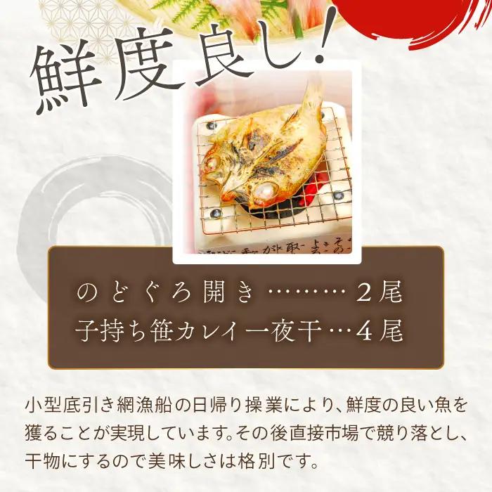 ノドグロ・笹カレイセット【のどぐろ一夜干し かれい一夜干し 干物セット のどぐろ干物 2尾 1尾あたり120～140g 笹カレイ干物 4尾 1尾あたり50～60g 島根県産 大田市産 ノドグロ 笹カレ