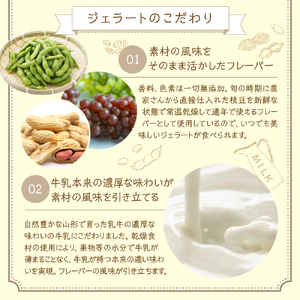 【 3ヶ月定期便 】 3種類 の プレミアムジェラート 6個 /月 〔 各 2個 〕 1個 90ml ( 鷹山秘伝豆 おきたまラムレーズン 神室落花生 ) 全3回配送 秘伝豆 ラムレーズン 落花生