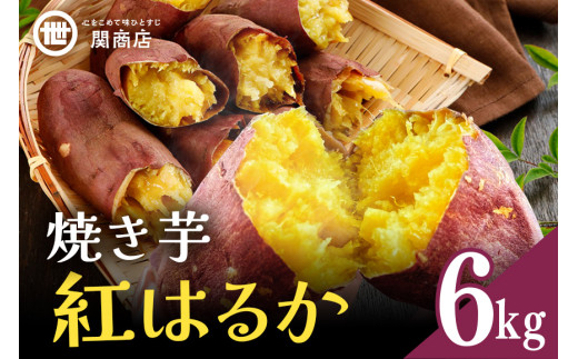 【期間限定】 関商店 焼き芋 紅はるか 6kg 国産 茨城県産 砂糖不使用 焼き芋 やきいも 焼芋 焼きいも べにはるか ベニハルカ 甘い 柔らかい 安心 安全 品質 食味 おやつ 62-I ＜2027年4月20日まで受付＞