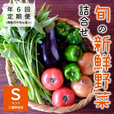 ふるさと納税 能勢町 【発送月固定定期便】『大阪能勢産』べじたぶるぱーくの新鮮野菜詰合せ　Sセット(5種類)　偶数月全6回
