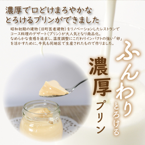 ふしみや 丹波奥里の卵プリン 10個 （プレーン） こだわり 手土産 デザート お菓子 おうち時間 贈り物 ギフト