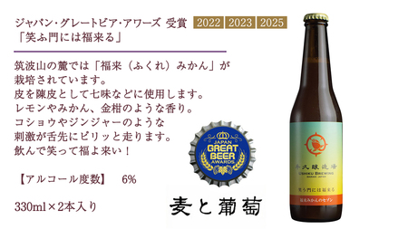 【 お中元 熨斗付 】 2年連続！《 ジャパン・グレートビア・アワーズ 受賞 》クラフトビール3種 計 6本セット 飲み比べ 茨城県産 牛久醸造場 330ml × 6本 ビール 地ビール クラフト お