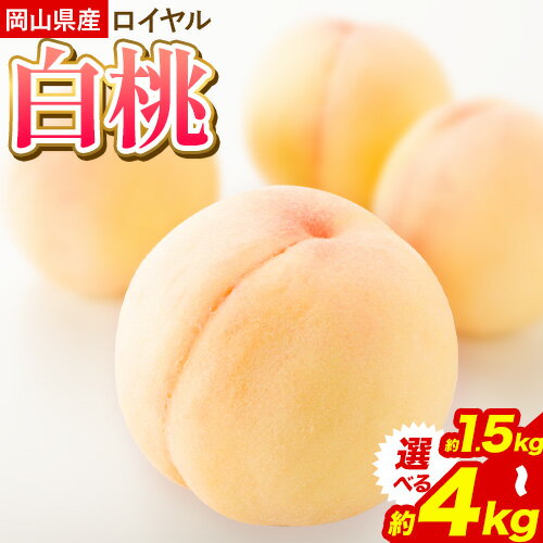 【ふるさと納税】桃 岡山県産白桃ロイヤル 選べる内容量 約1.5kg(5-7玉) 約2kg(7-9玉) 約4kg(14-18玉) 株式会社あいたいよう 《6月中旬-8月上旬頃出荷》ふるさと納税 岡山県 備前市 白桃 ロイヤル 果物 フルーツ 旬