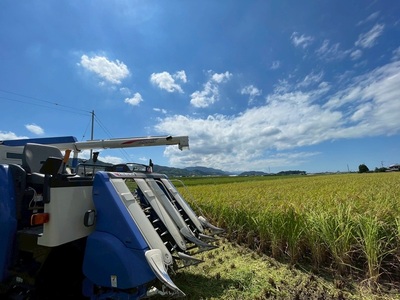 お米 令和7年産 5kg ヒノヒカリ 特別栽培米  先行予約  【2025年11月以降発送】 精米 米 こめ コメ 白米 ごはん ライス 愛媛 伊予市｜C149