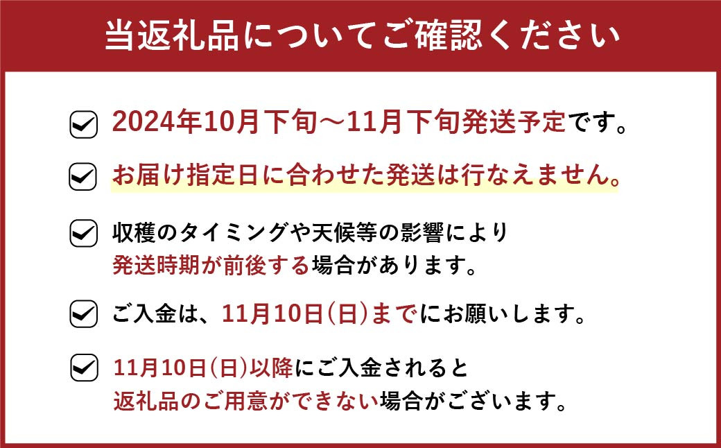 【優等品】福岡県産 博多 秋王 約3.1kg以上 (8玉～12玉入り) 柿 カキ