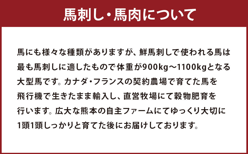 希少 生食用 馬レバー 80g