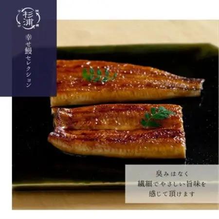【1本230g以上】遠州杉浦うなぎ 蒲焼セット　蒲焼2本(460g-500g)+肝白焼+タレ_魚介・海産物 うなぎ  ウナギ 鰻_【配送不可地域：離島】【1604148】