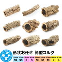 【ふるさと納税】形状お任せ 筒型コルク (選べるサイズ×9種) エアプランツ 着生植物