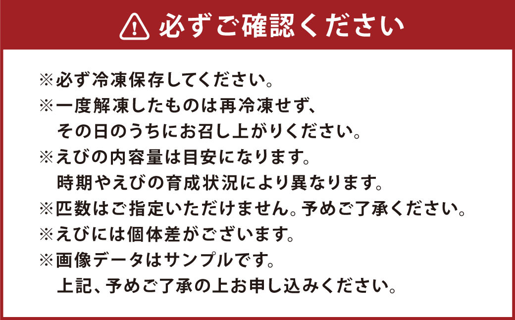森さん家の冷凍車えび 活き〆冷凍車海老750g