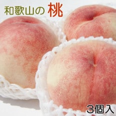 【産直・人気の特産品】和歌山の桃　3玉入り(日高町)