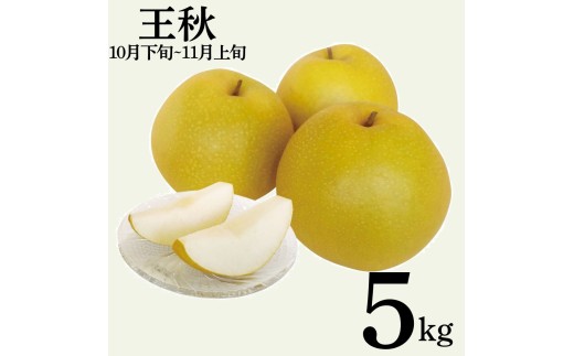 12MS.【2026年先行受付】王秋5kg