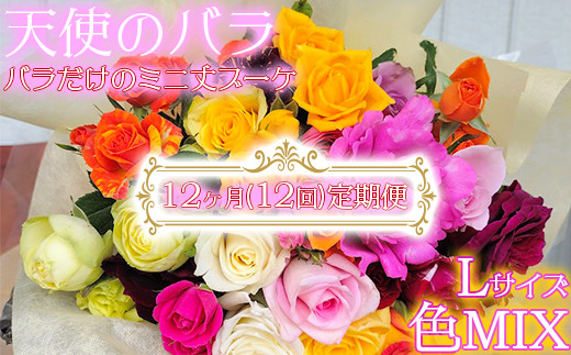 
                  【天使のバラ】全12回定期便 薔薇だけのミニ丈ブーケLサイズ（色MIX）＜141-823＞
                