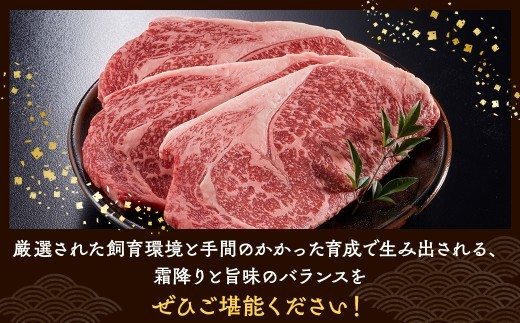 【6ヵ月定期便】飛騨牛 ローススライス（すきやき・しゃぶしゃぶ用）約800g
