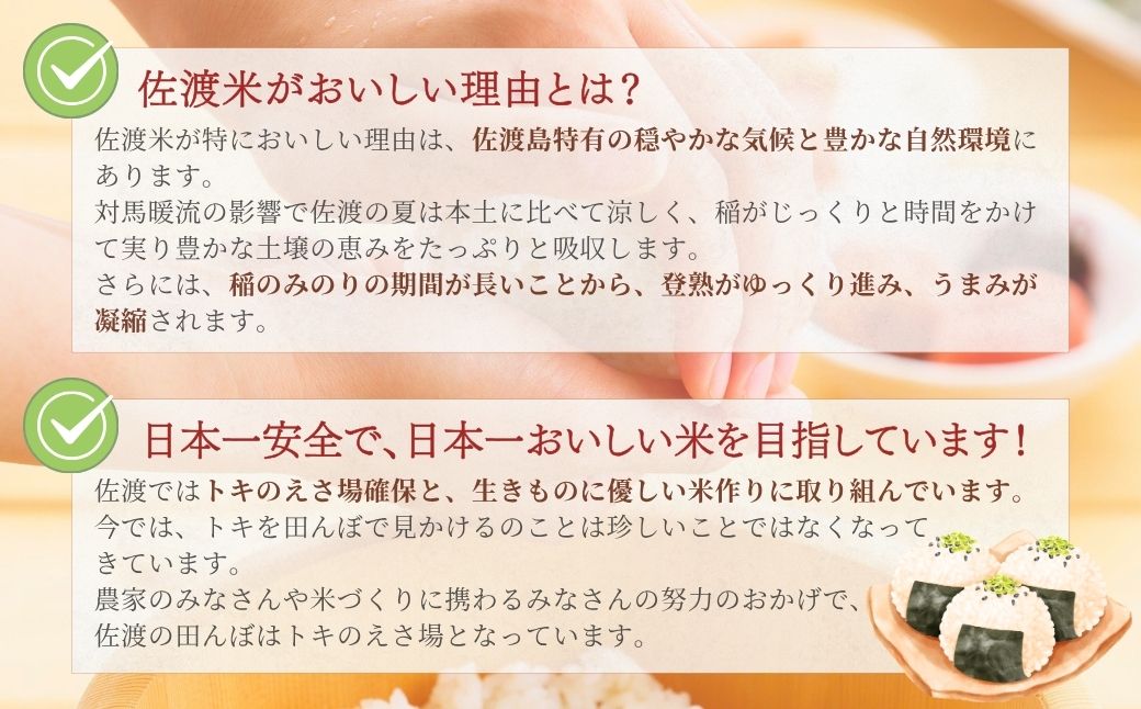 【先行予約】令和8年産新米佐渡産コシヒカリ5kg