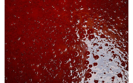 宍道湖のしじみ醤油、味付けのり、佃煮の豪華3点セット【1_1-036】