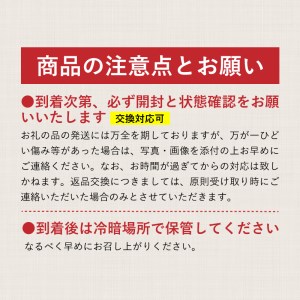 【2024年 先行予約】山梨県産　種なしピオーネ２房(約1.0Kg）