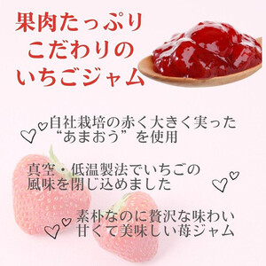 いちごジャム 無添加 あまおうとオリゴ糖のジャム 200g×3袋 手作り 国産 チューブ パウチ入り